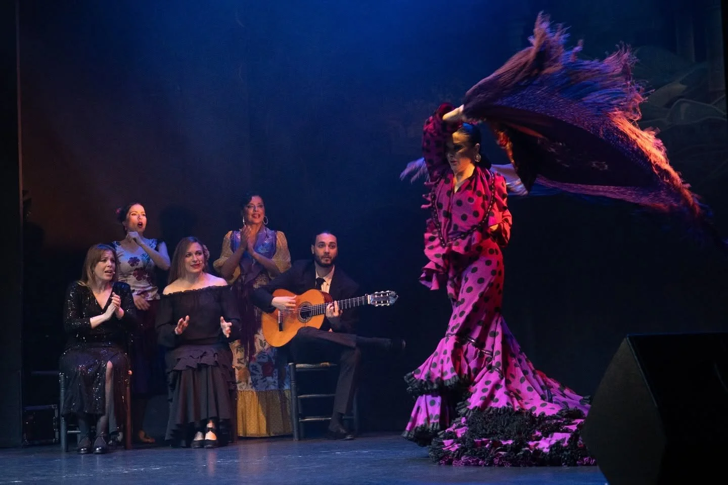Teatro Flamenco Madrid