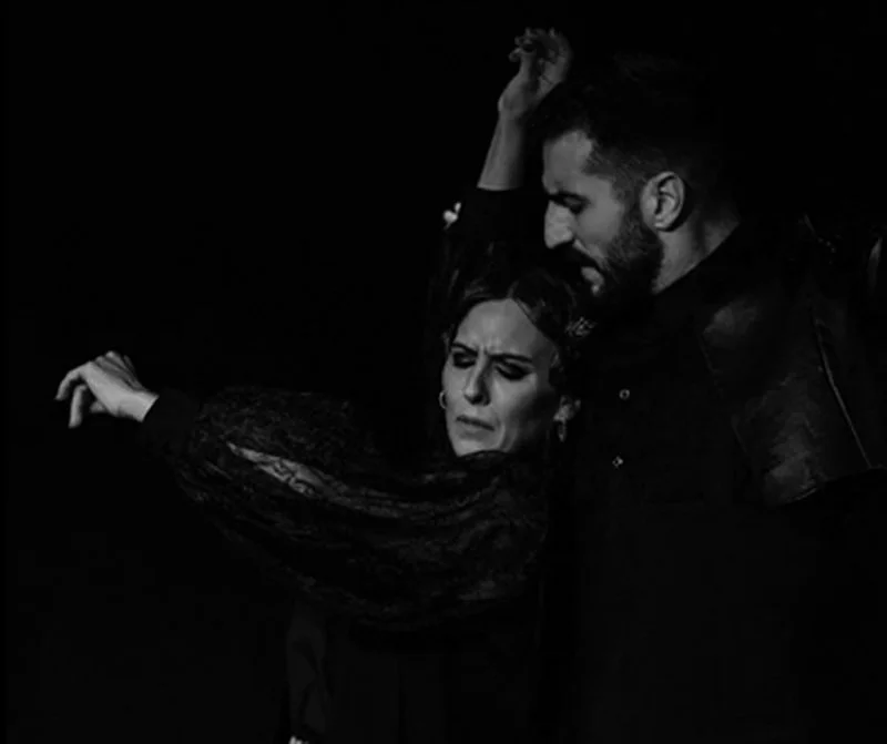Carmen Coy, Julia Gimeno, and Jesús Perona create their own geometry