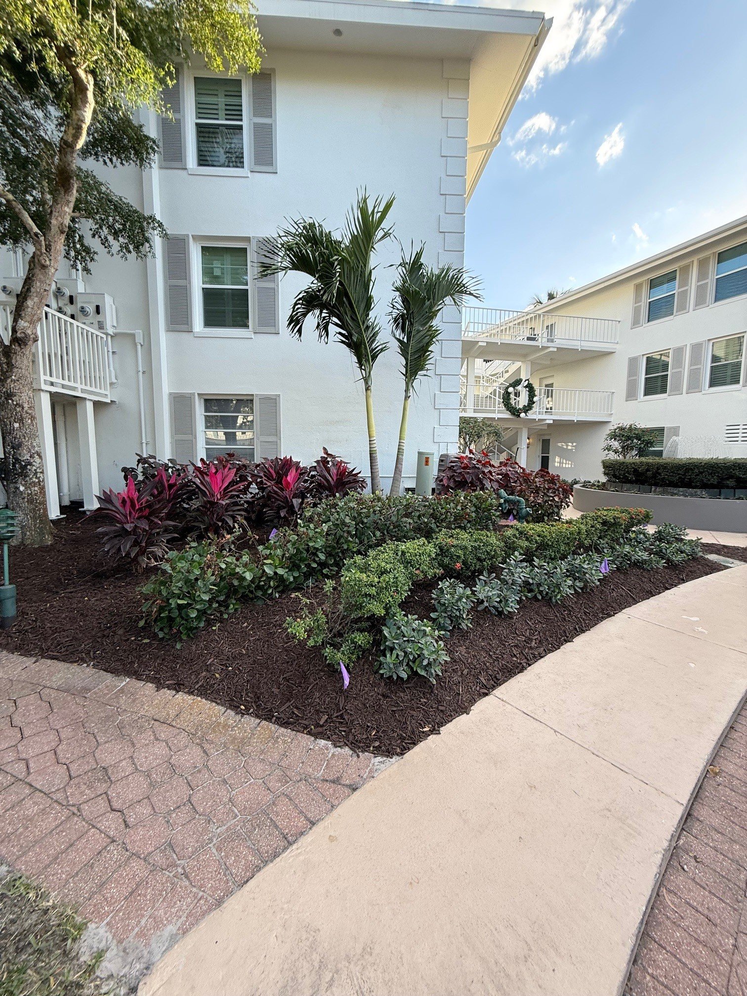 Landscape Project - Dec 24 2025