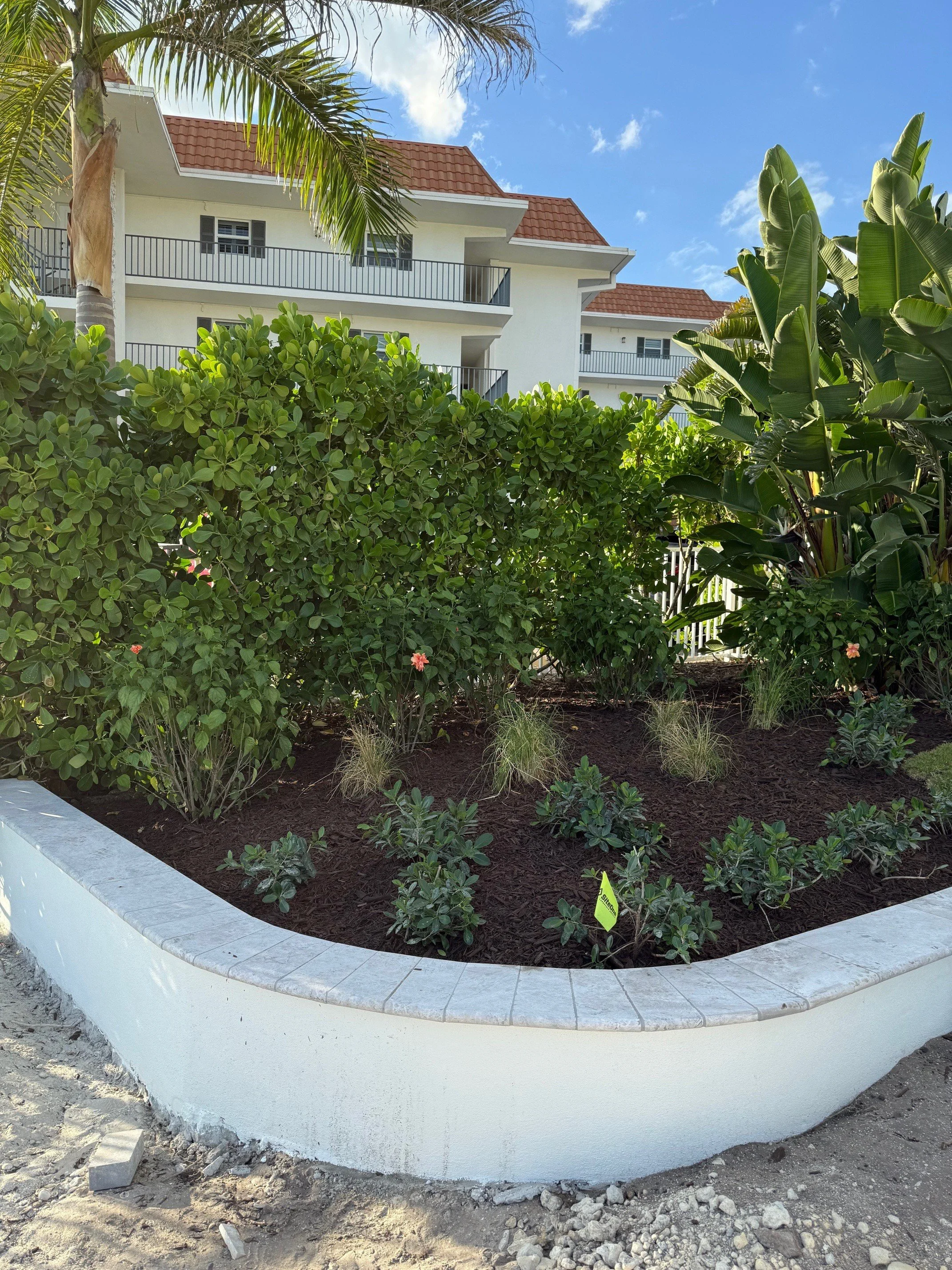 Landscape Project - Dec 24 2025