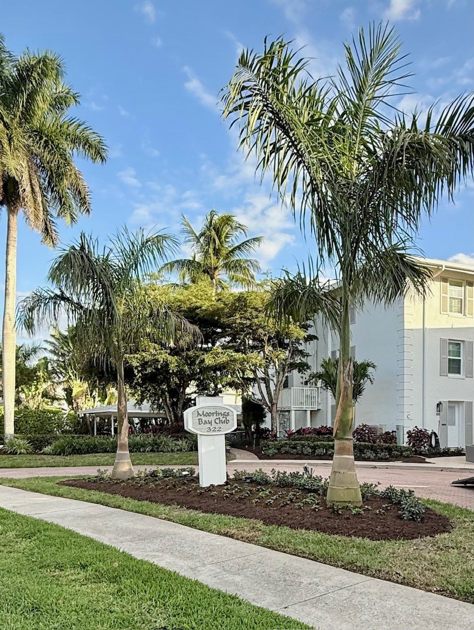 Landscape Project - Dec 24 2025