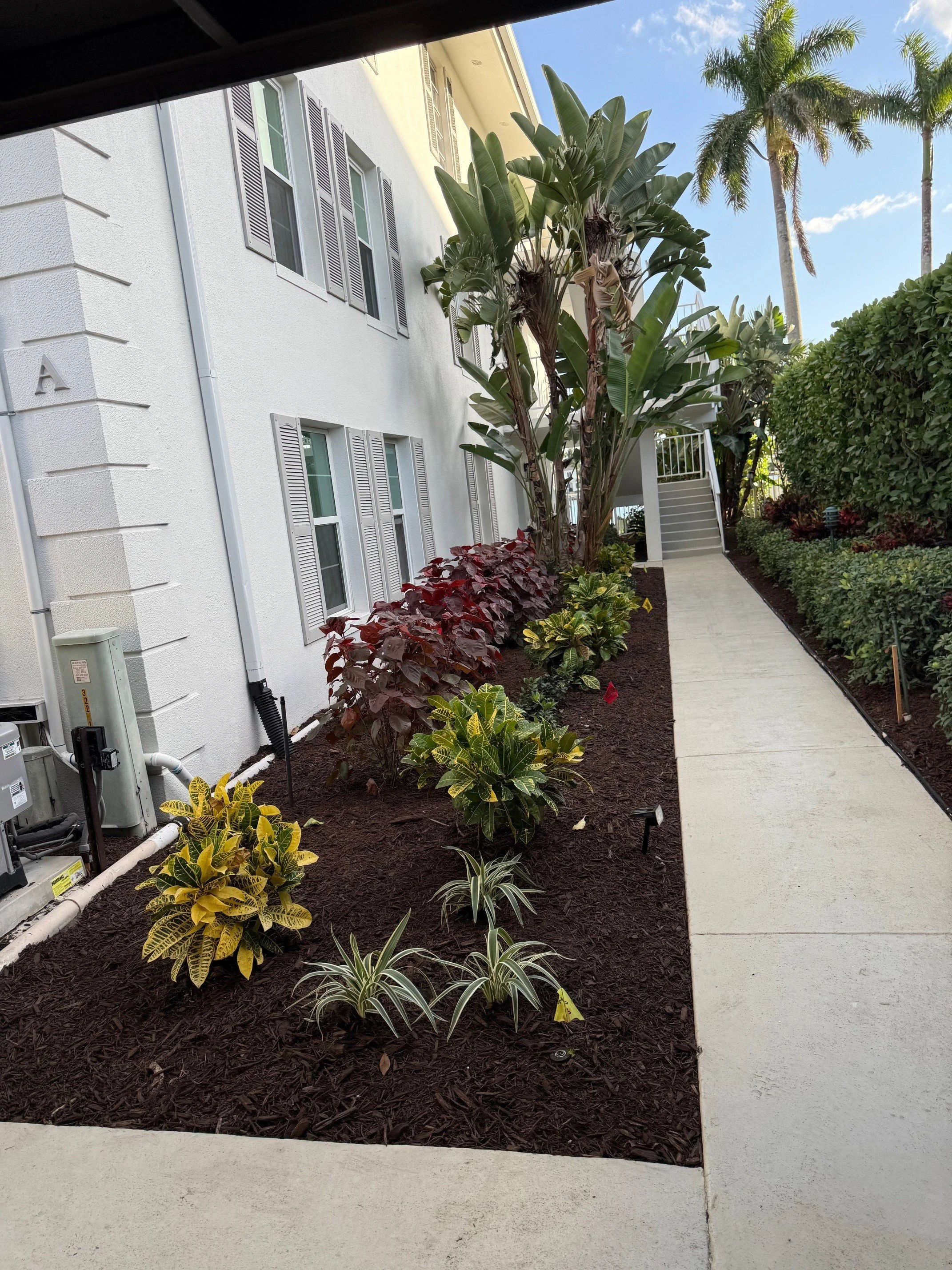 Landscape Project - Dec 24 2025