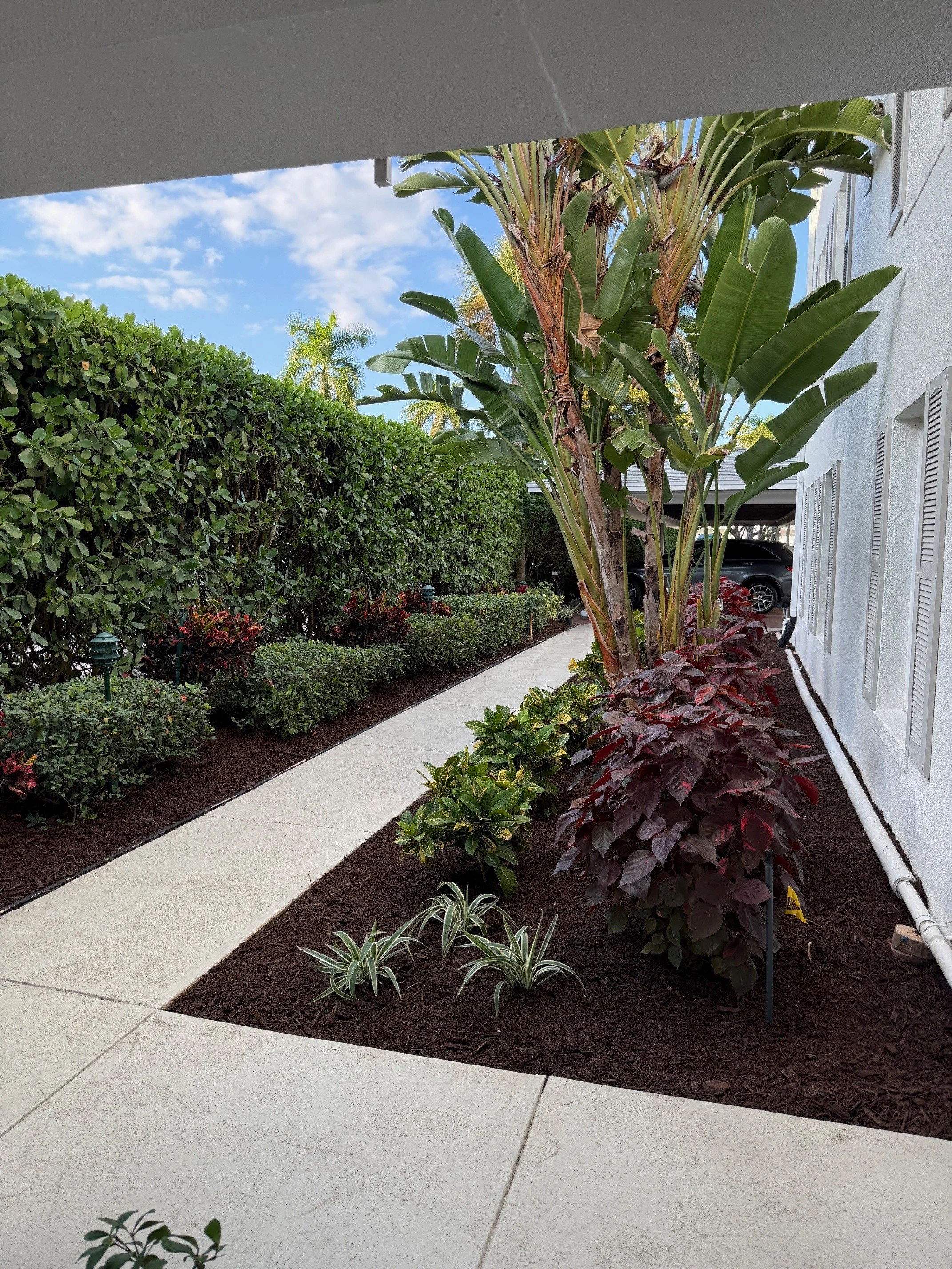 Landscape Project - Dec 24 2025