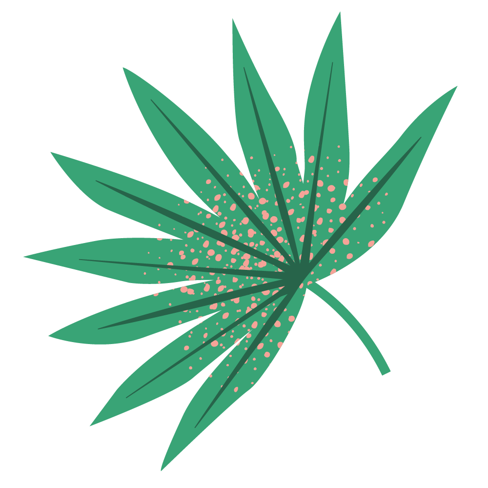 A stylized illustration of a green leaf with pink dotted accents.