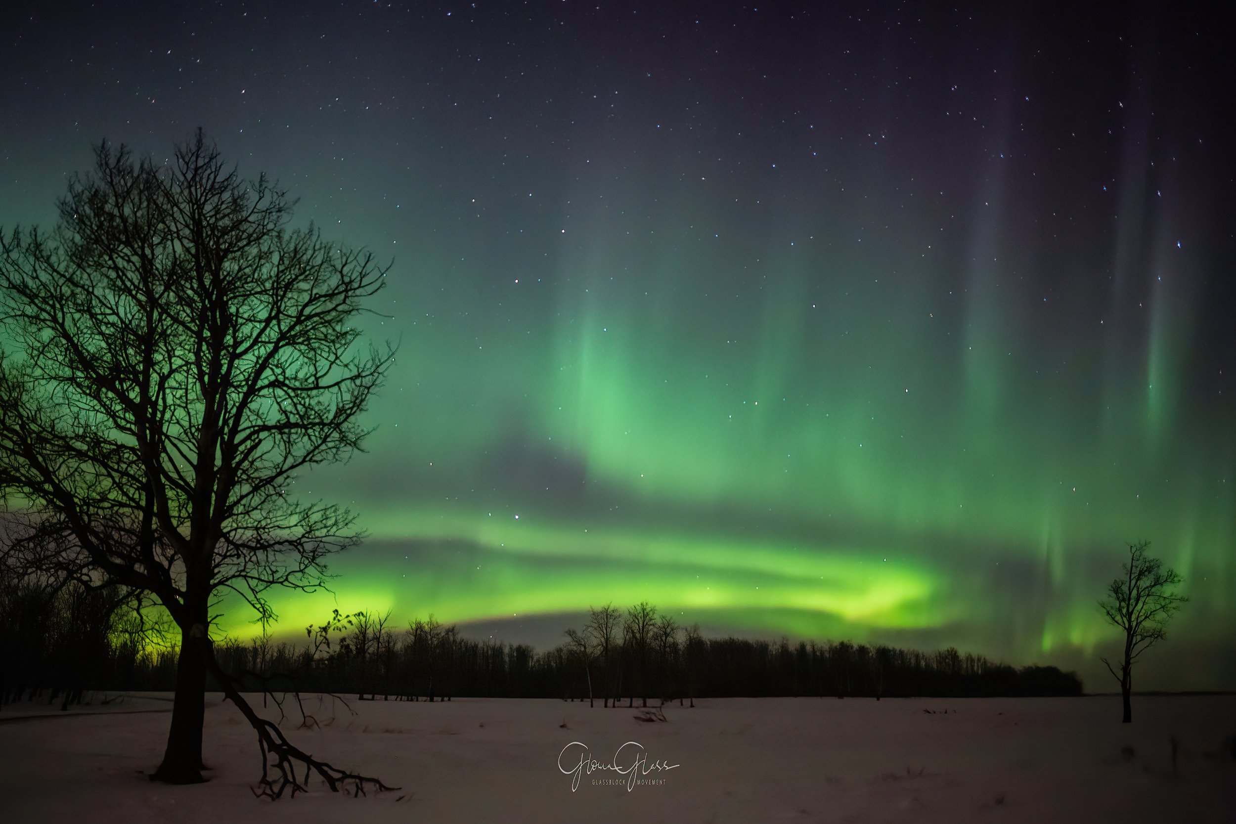Elk Is Mar10,2018 re 2021-3-standard-scale-0_50x-gigapixel-DeNoiseAI-clear.jpg