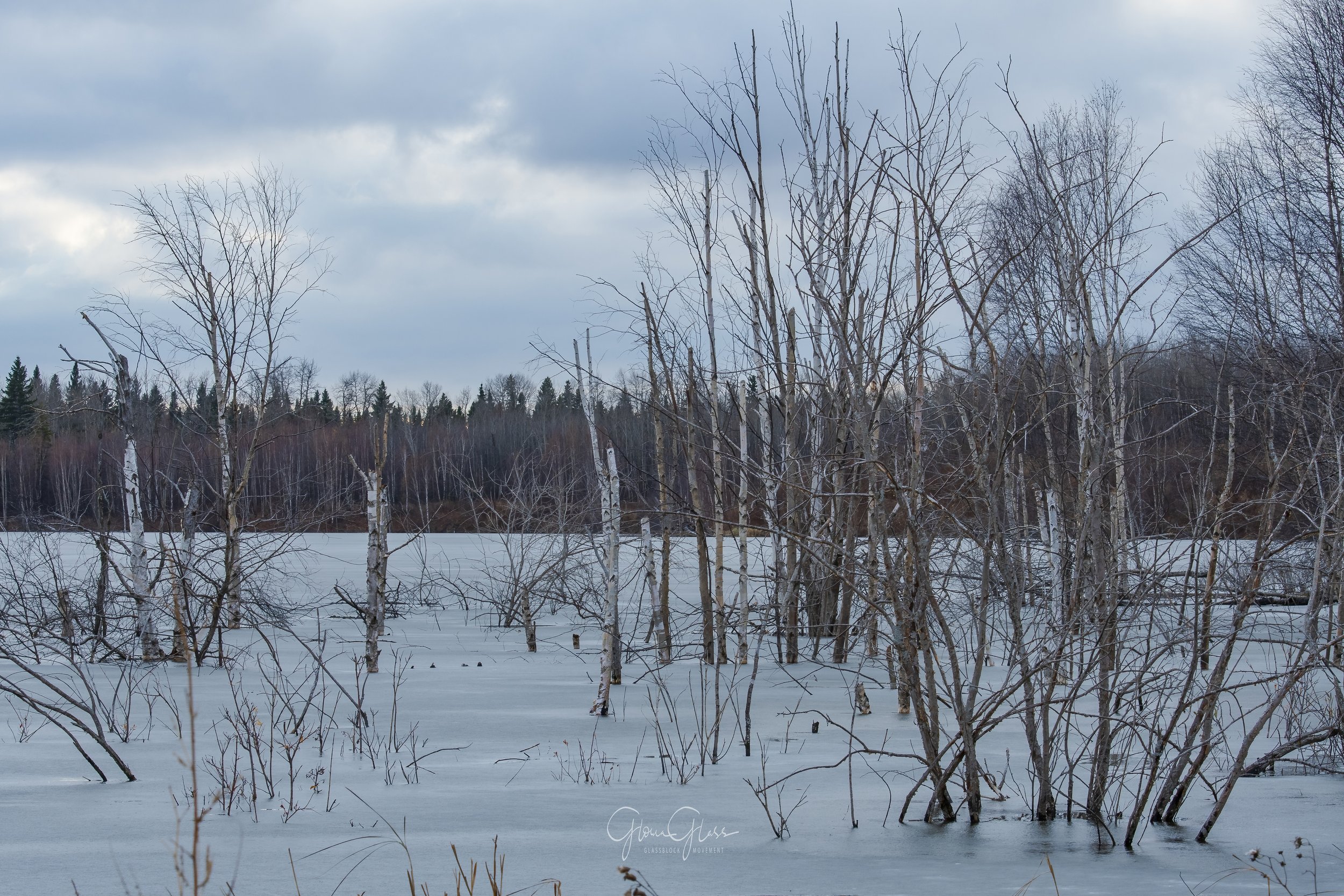 pond freezing, 2020-1-DeNoiseAI-standard.jpg