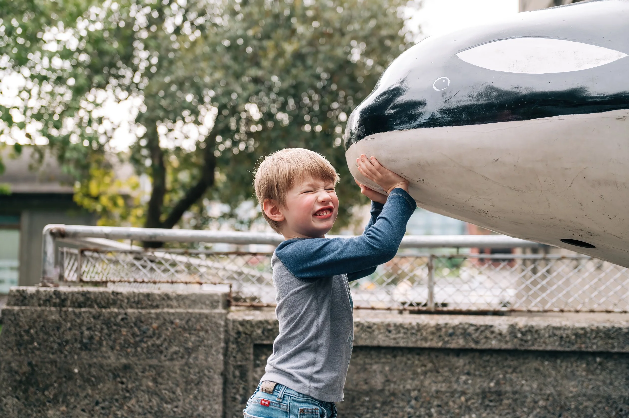 Little boy during family photos at the Ballard Locks