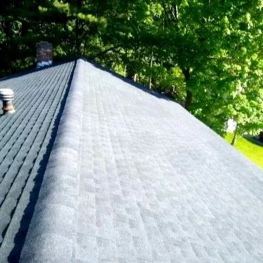 Roof.jpg