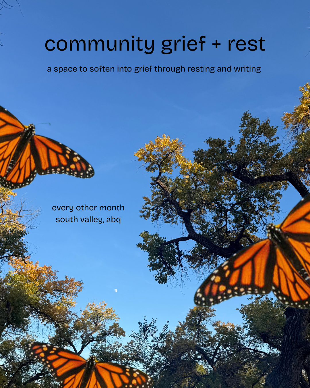 Blue sky with a full moon visible, with trees around and monarch butterflies in the foreground, promoting a community space for grief and rest.