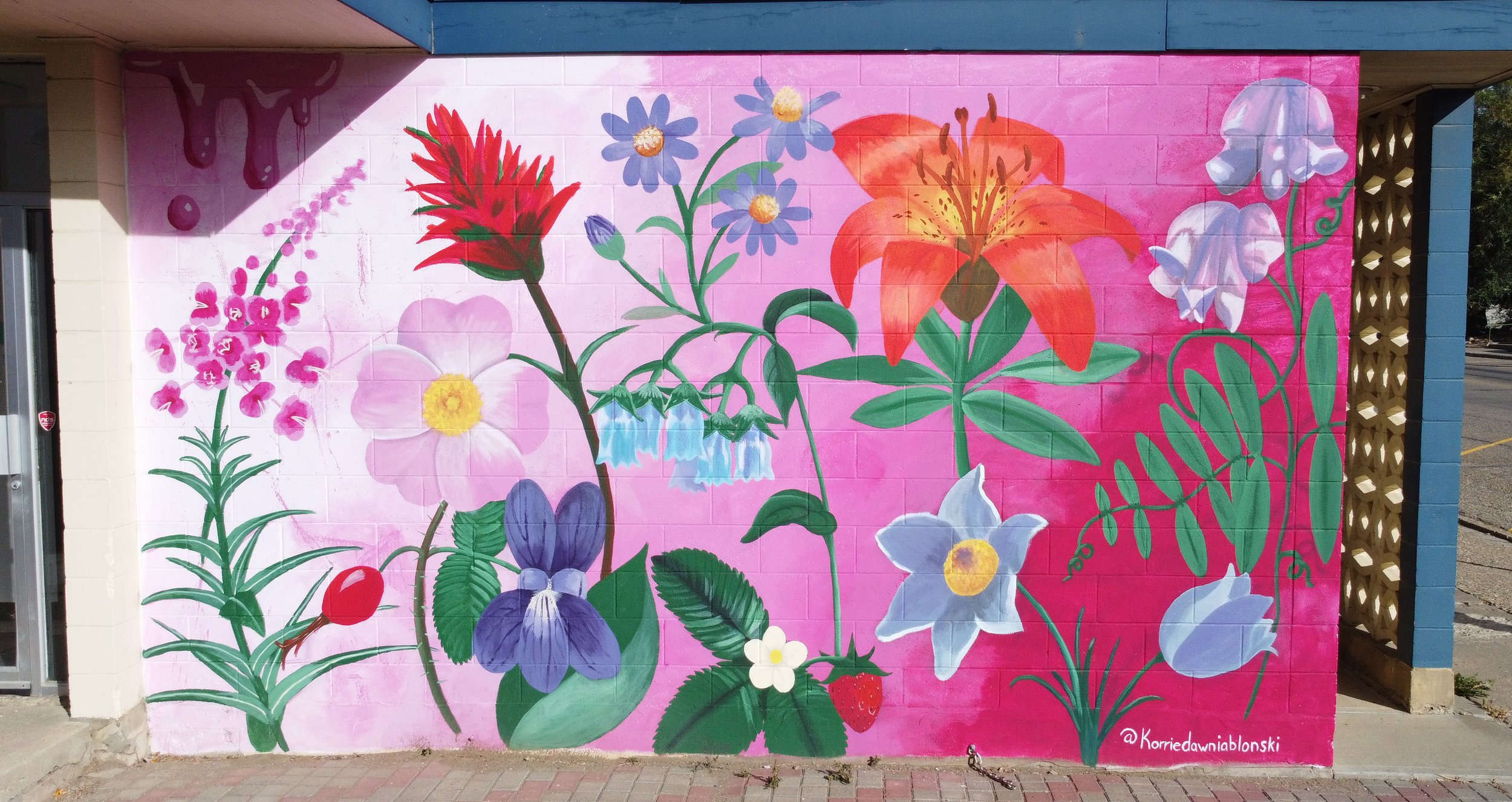 Show & Share - Thursday, Jan 29, 7-9 pm