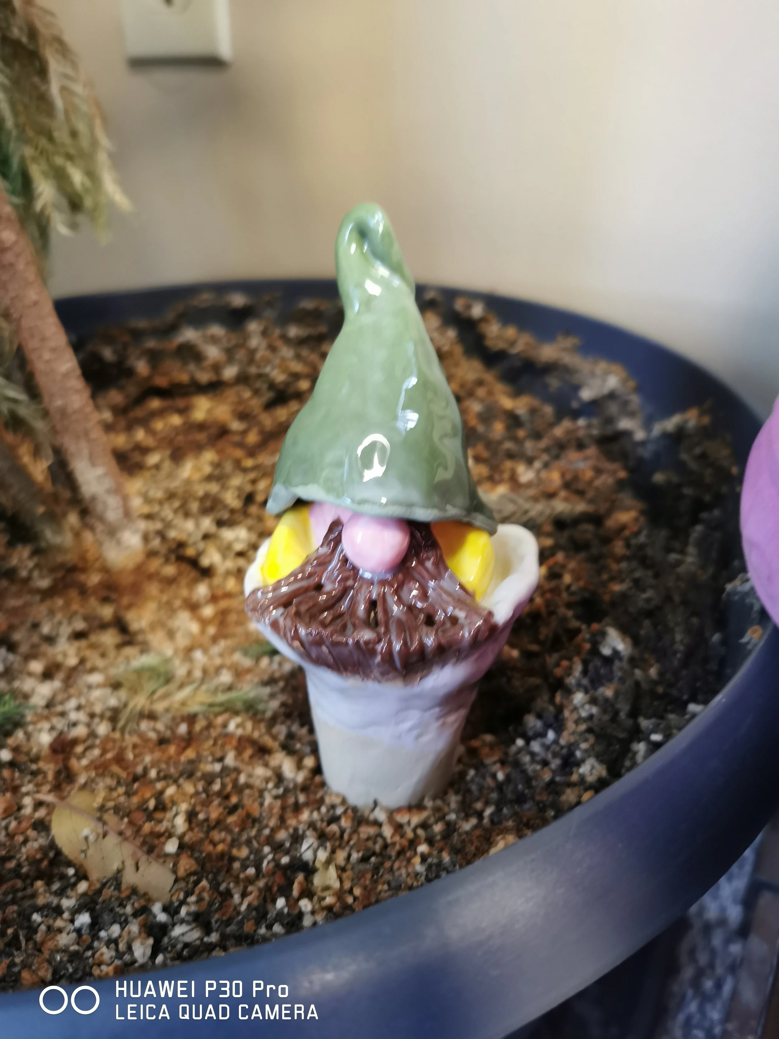 gnome spike 1.jpg