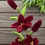 Forever Flowers - Friday, April 24, 2026, 4-6 pm free