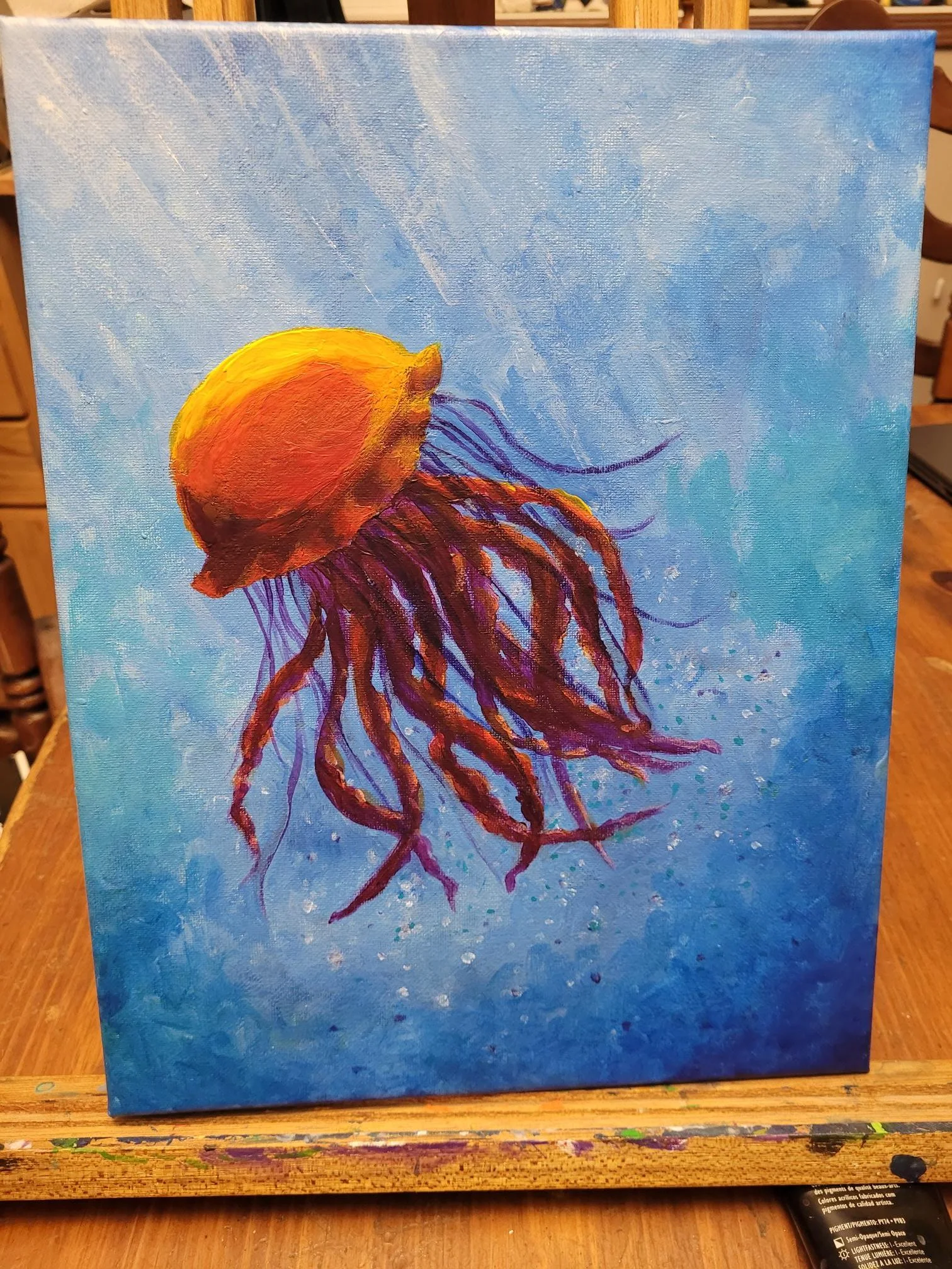 Lana jellyfish 2.jpg