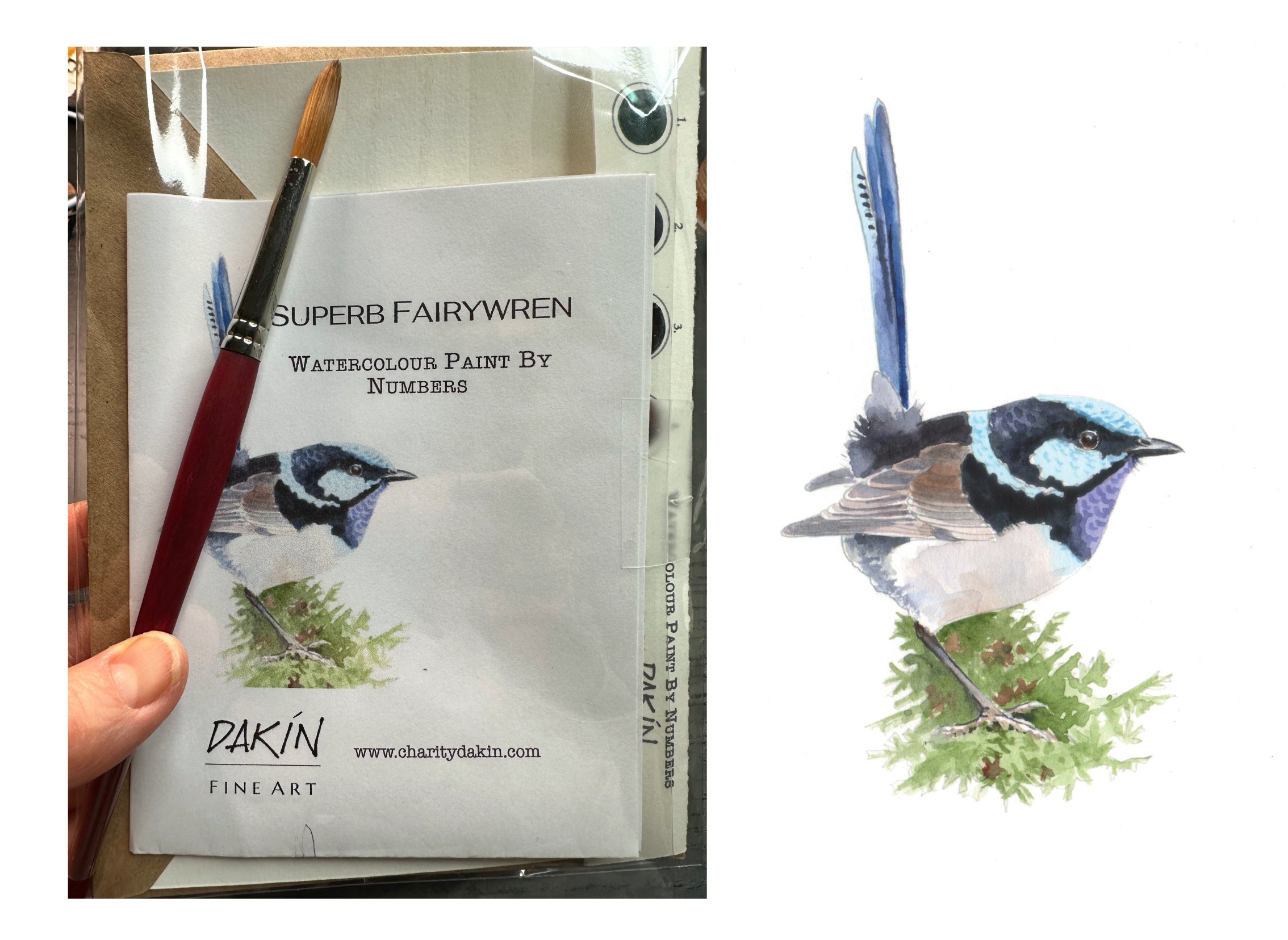 Watercolour  Card Workshop - Wed Feb 4, 1-3 pm