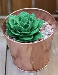 May Magic Family Art - Egg Cartpm Succulents- Sat. May 9, 2026, 1:30-3:00