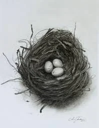 Earth Awakens Family Art - Drawing Birds & Eggs - Saturday, April 18, 2026 1:30-3:00