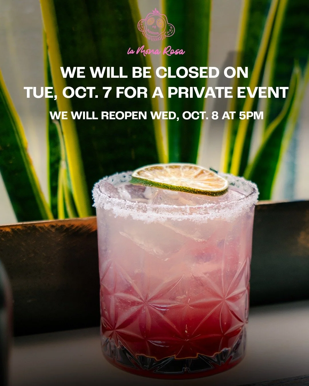 We will be closed on Tuesday, October 7 for a private event. We will reopen to the public on Wednesday, October 8 at 5PM.

Want to host your own private event? Email us events@cornerbarmgmt.com