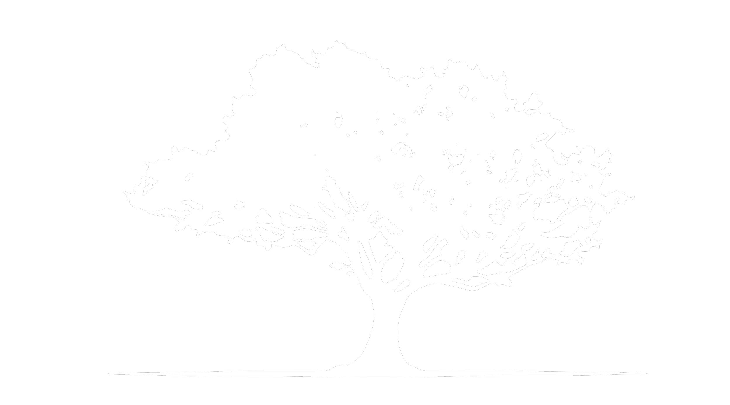 oaktree icon WHITE.png