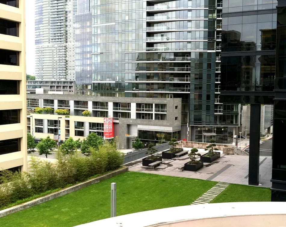 Goldsmith Land — Project Gallery