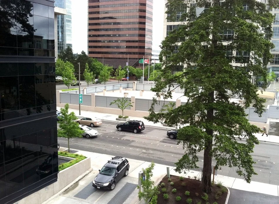 Goldsmith Land — Project Gallery