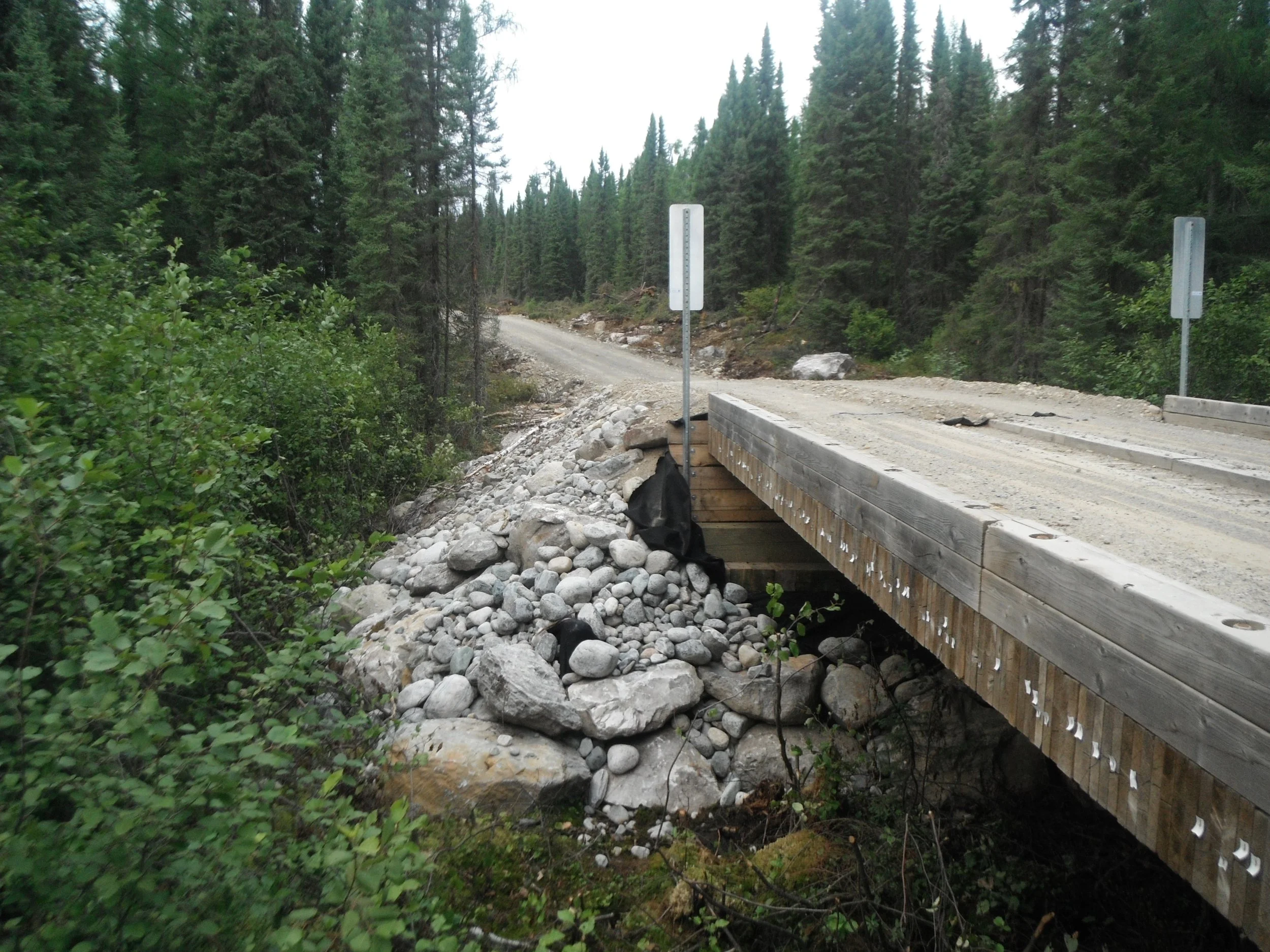 DSCF2466.jpg