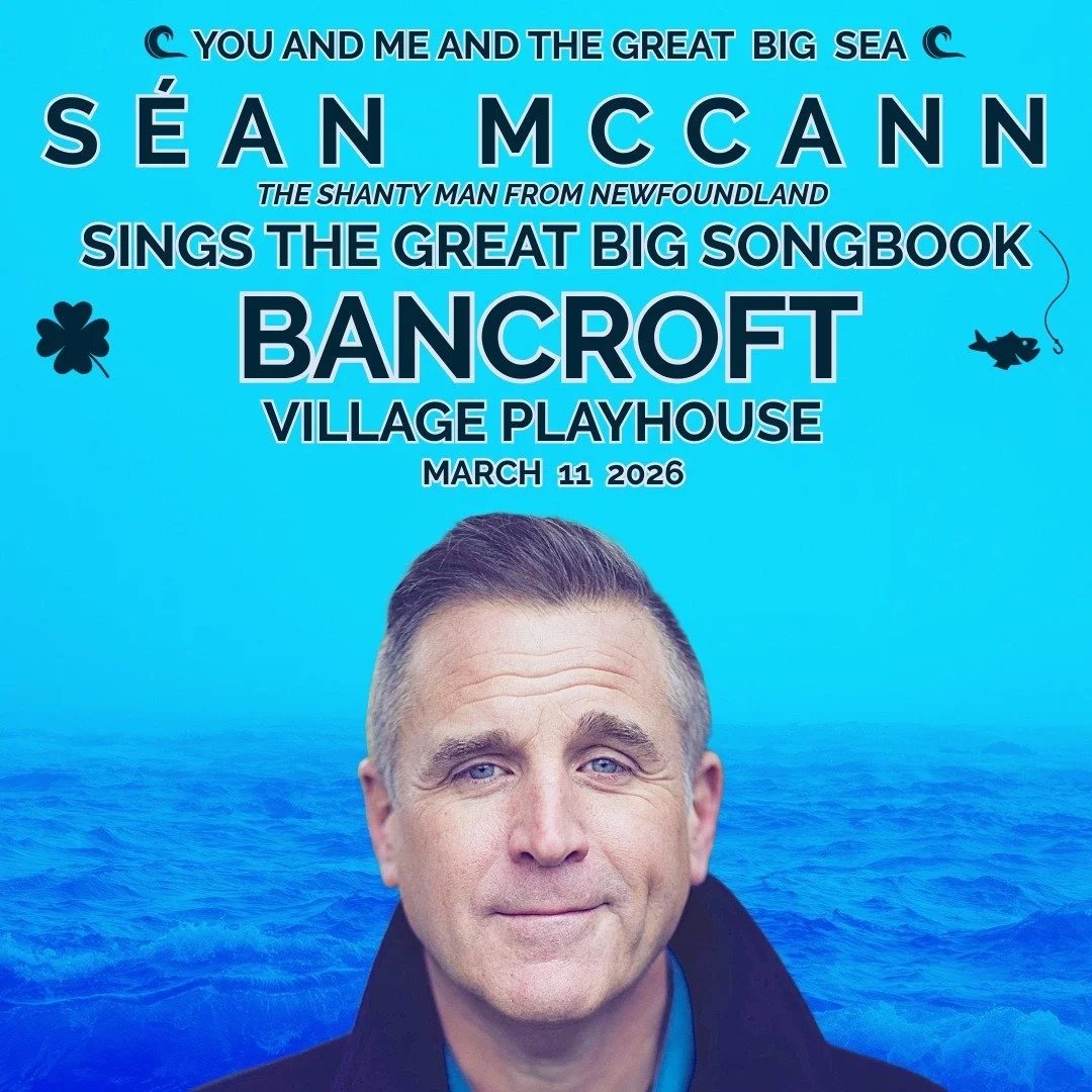 SÉAN MCCANN SINGS THE GREAT BIG SONGBOOK / BANCROFT