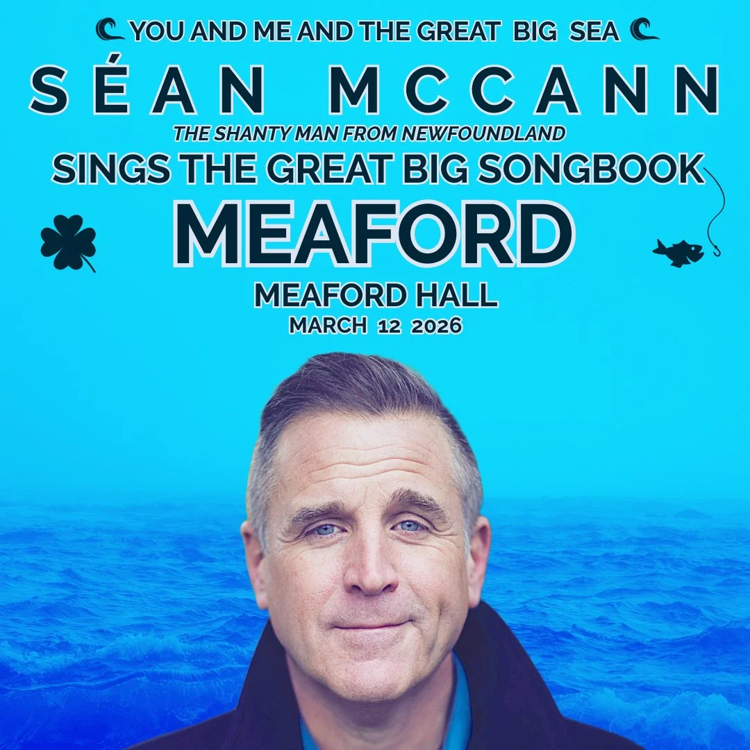 SÉAN MCCANN SINGS THE GREAT BIG SONGBOOK / MEAFORD