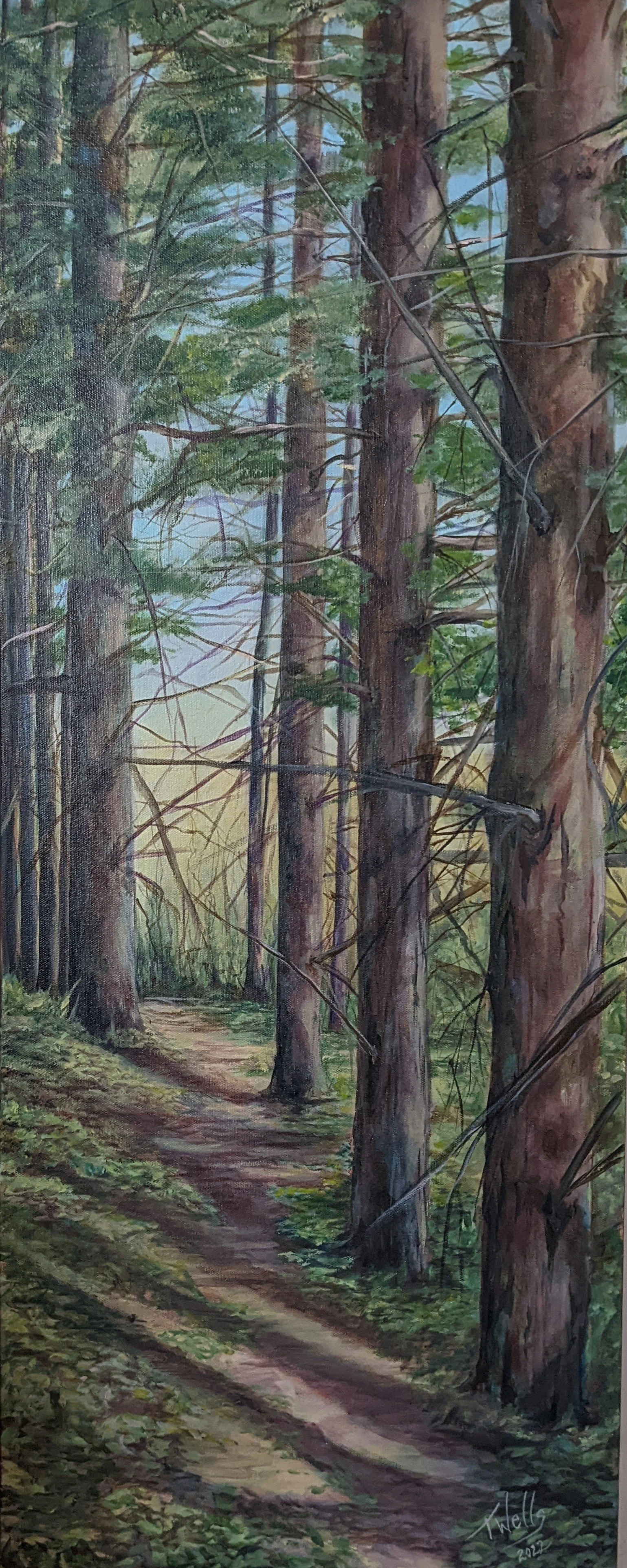Tall Trees in Two Creeks, 20x40.jpg