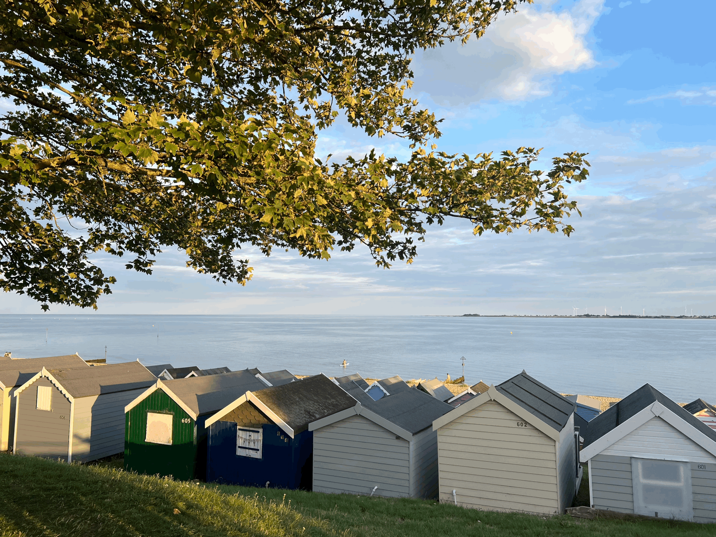 Newsletter No.64 - August 2025