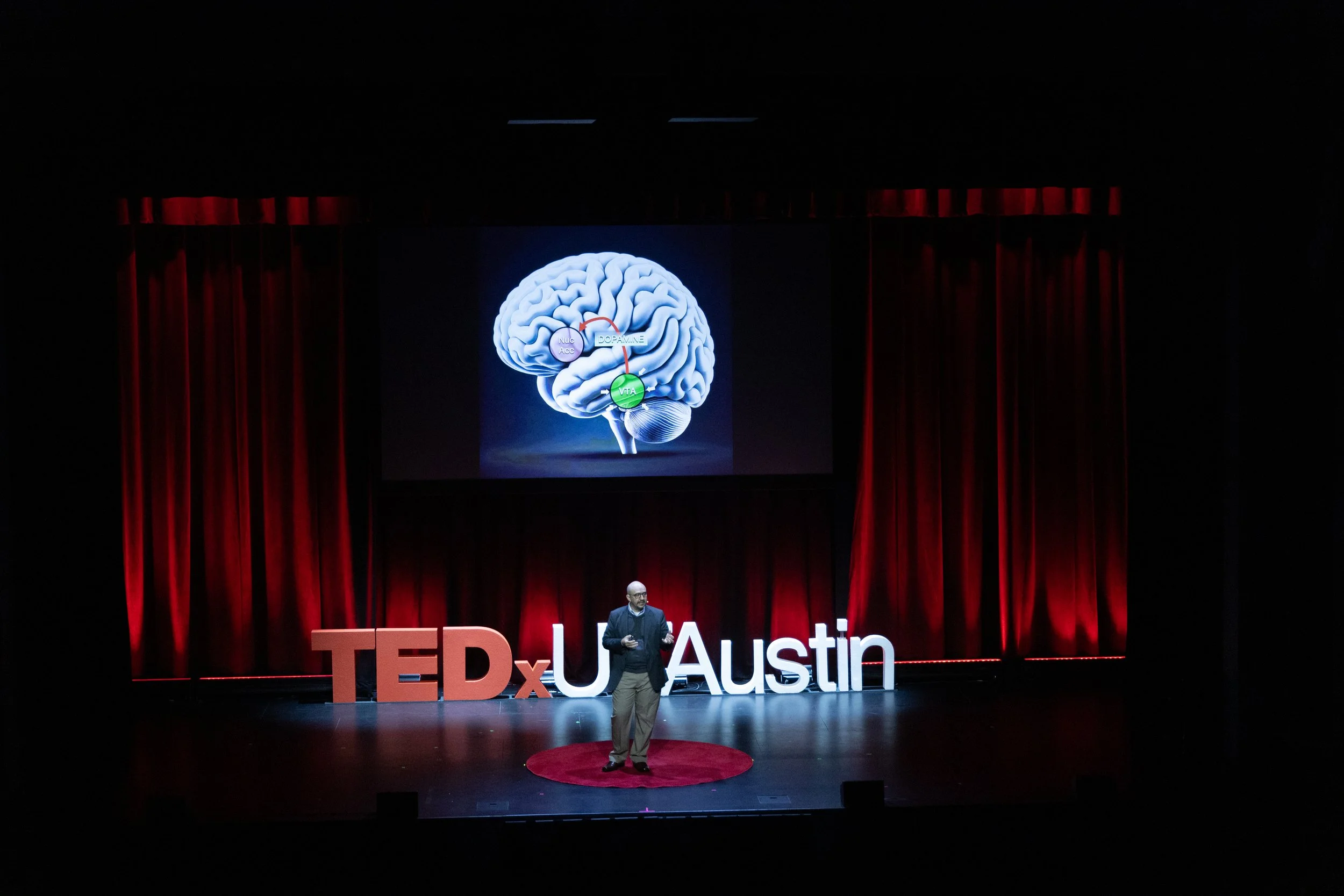  The Protective Power of Love in Your Brain