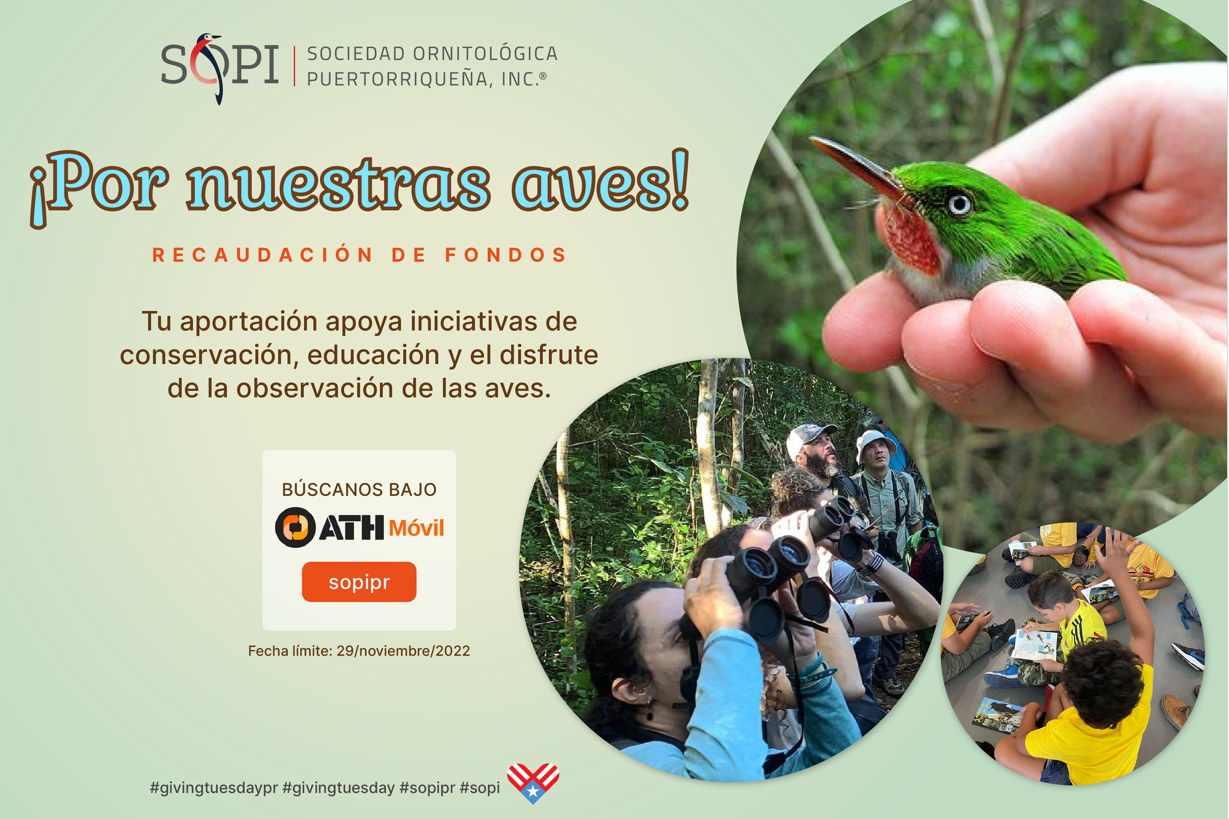 ¡Por Nuestras Aves!