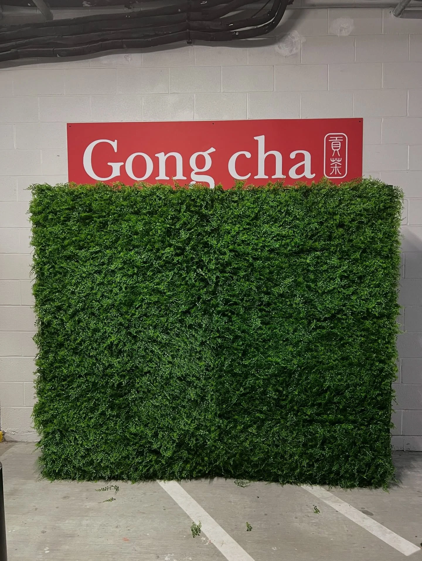 Congratulations to @gongchatea Nashville on their grand opening this past weekend!

If you stopped by and took a picture with Felix in front of the Garden Wall, don&rsquo;t forget to tag us so we can share your photos!

.
.
.
.
.
#flowerwallrentals #
