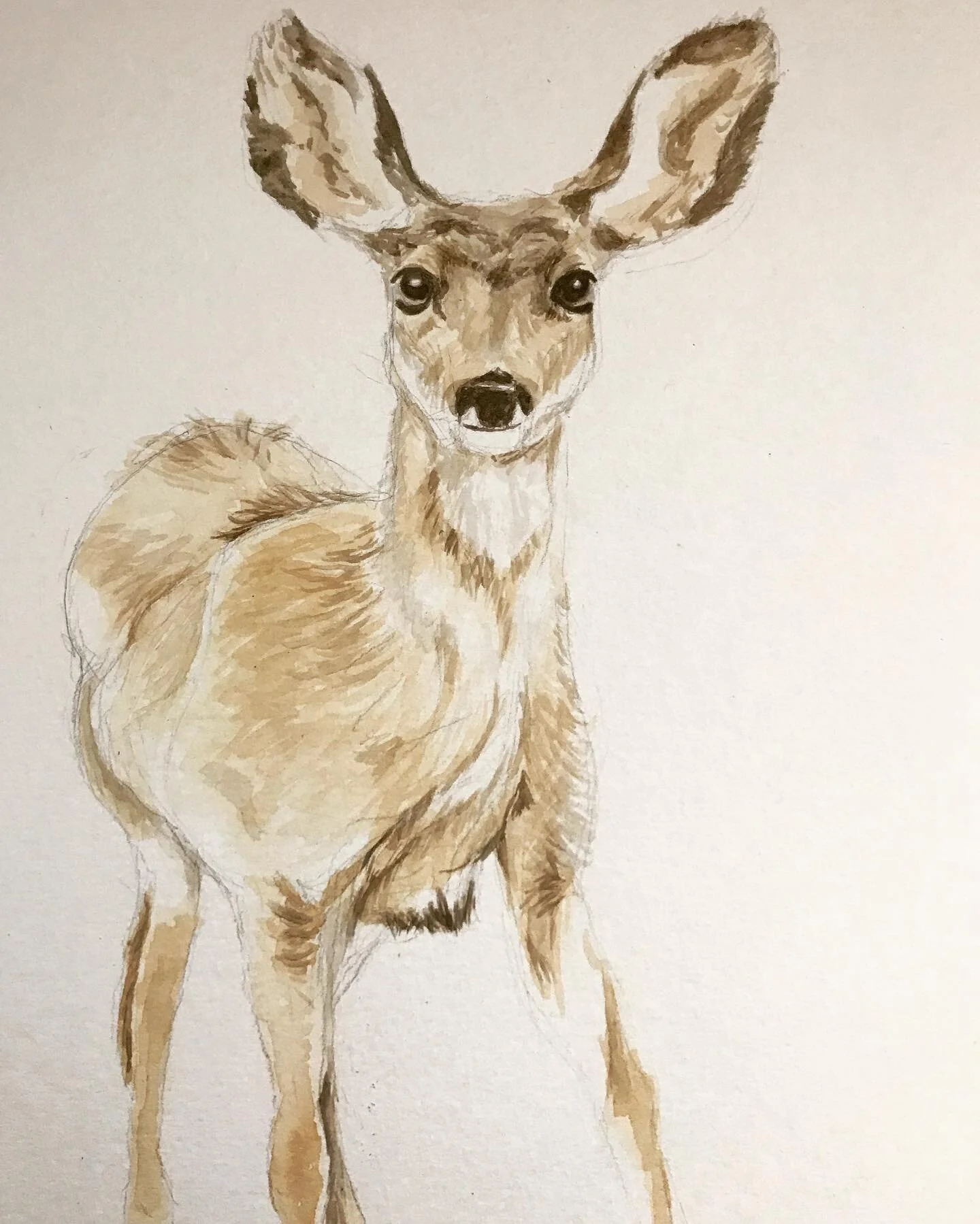 The deer I painted for my daughter&rsquo;s room #watercolor #watercolorartists #deer #nurseryart #animals #art #instagramart