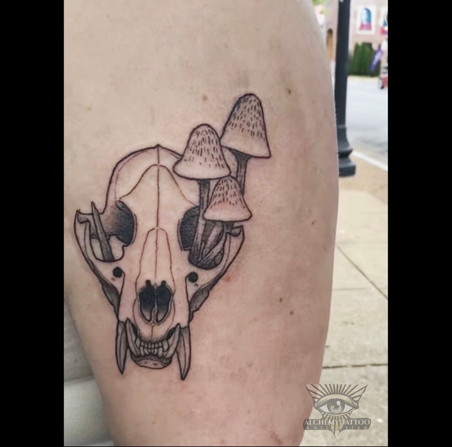 by @damondemonink 😈 
Sick skull shroom combo!! Thanks Bekah for the trust!! 🦇

#skulltattoo #mushroomtattoo #skullandmushroomtattoo #bonetattoo #tattooapprentice #alchemytattoocollective #macabretattoo #tattoo #stlouisgram #cherokestreet #stlouisar