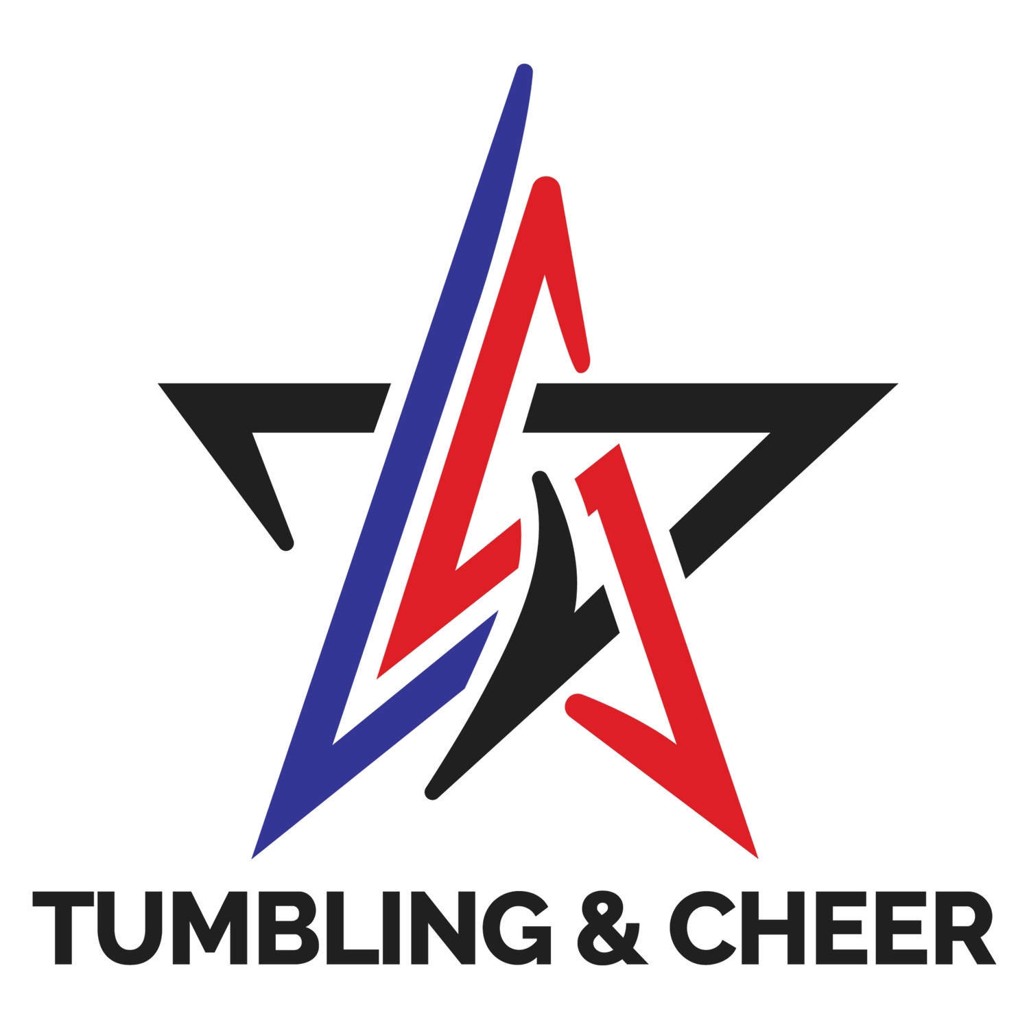 lsa-cheer