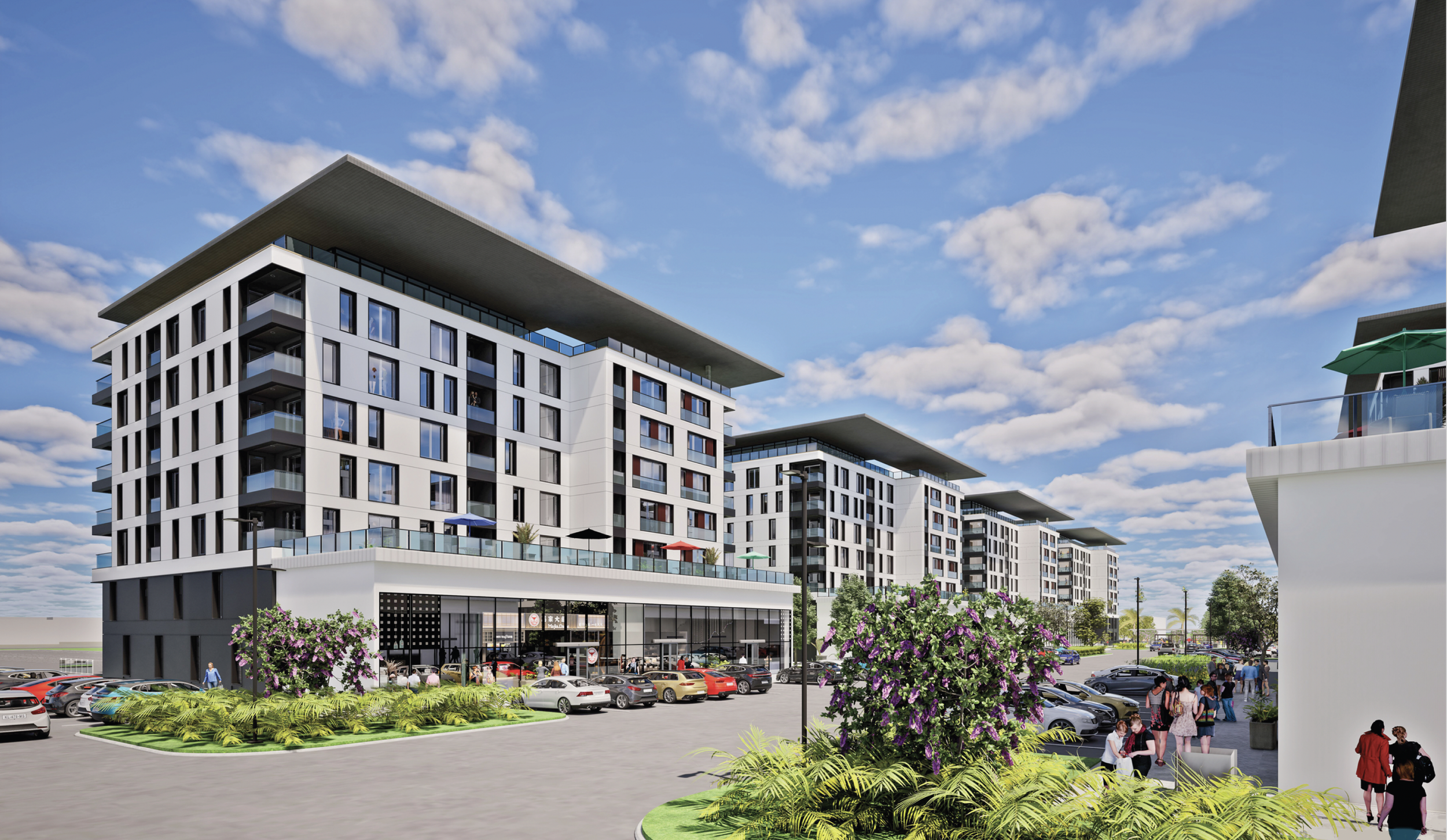 Screenshot 2026-02-20 at 10.53.49 AM.png