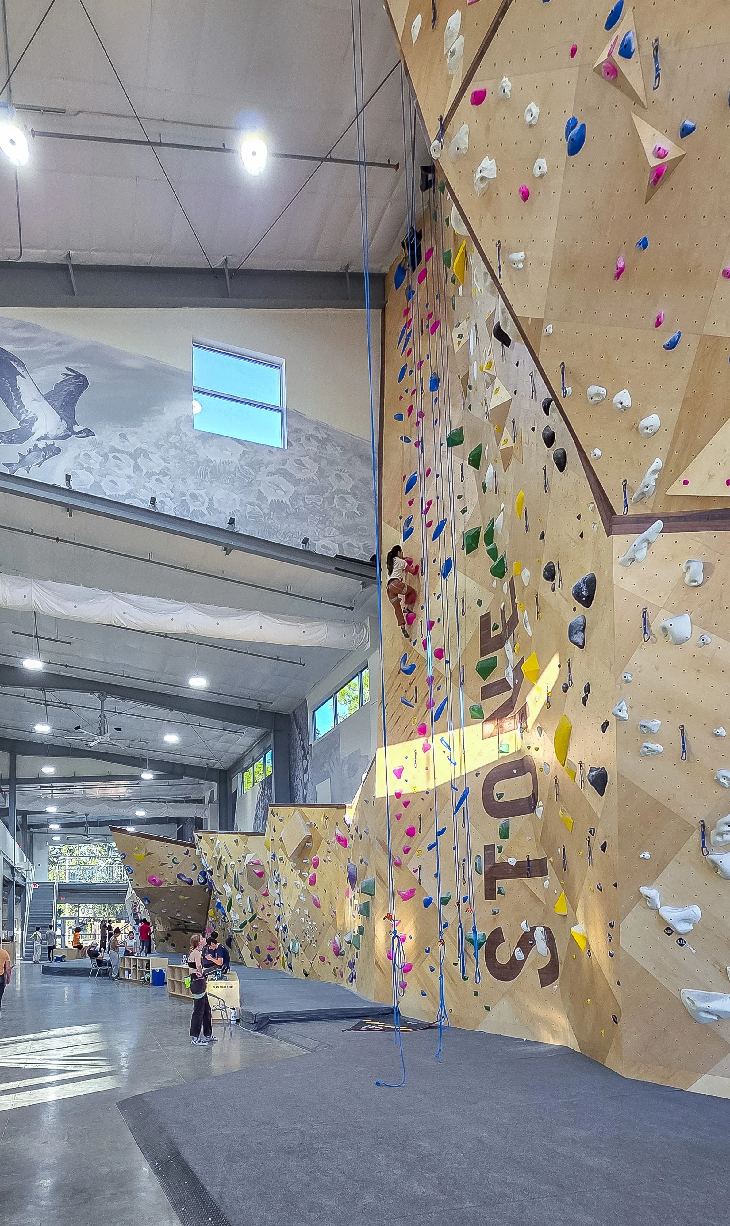 28j-StoneClimbgGym-Int-26_2p (76).jpg