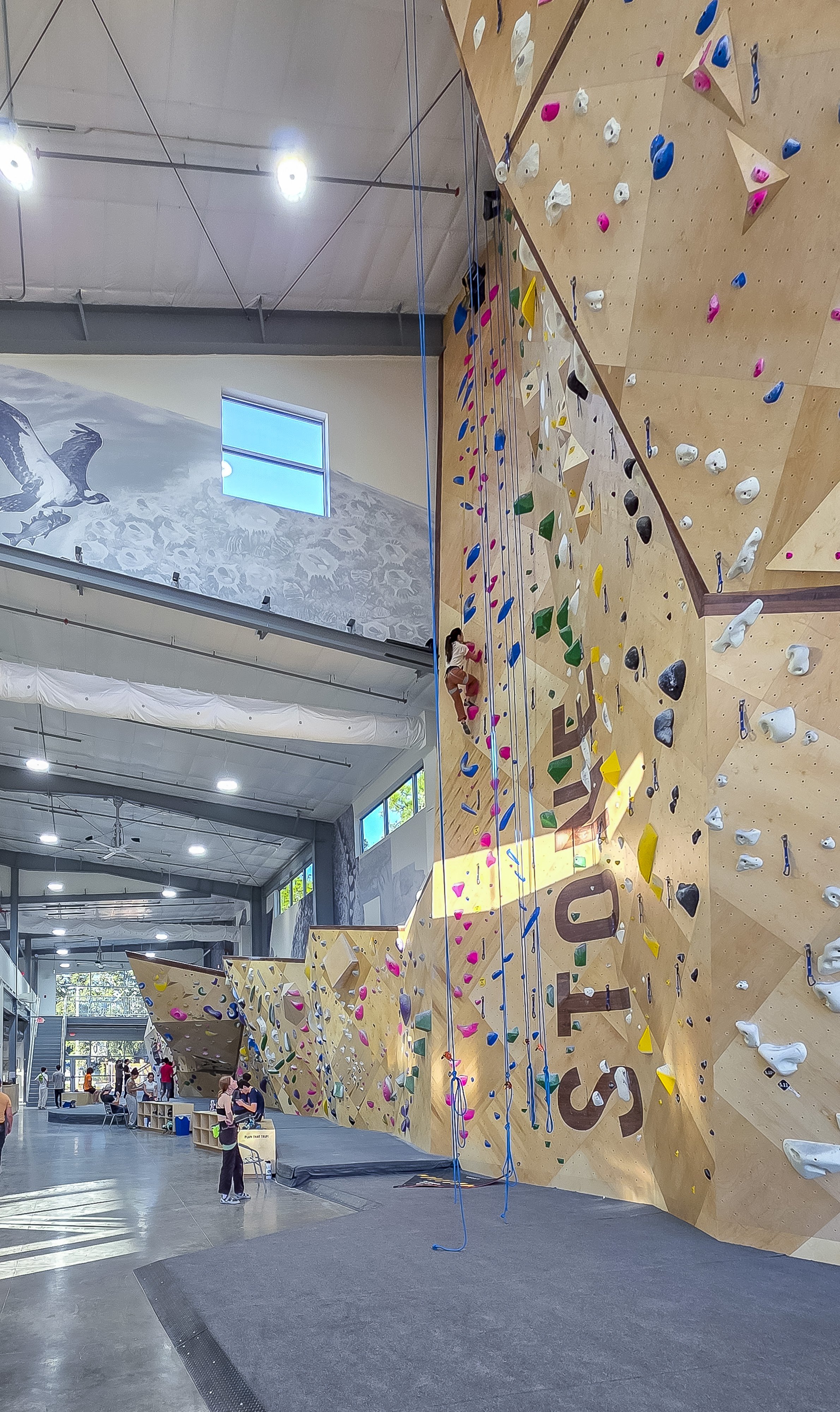28j-StoneClimbgGym-Int-26_2p (76).jpg