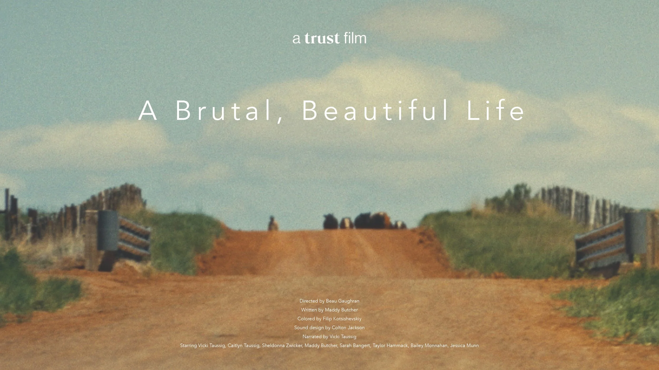 A Brutal, Beautiful Life by Beau Gaughran