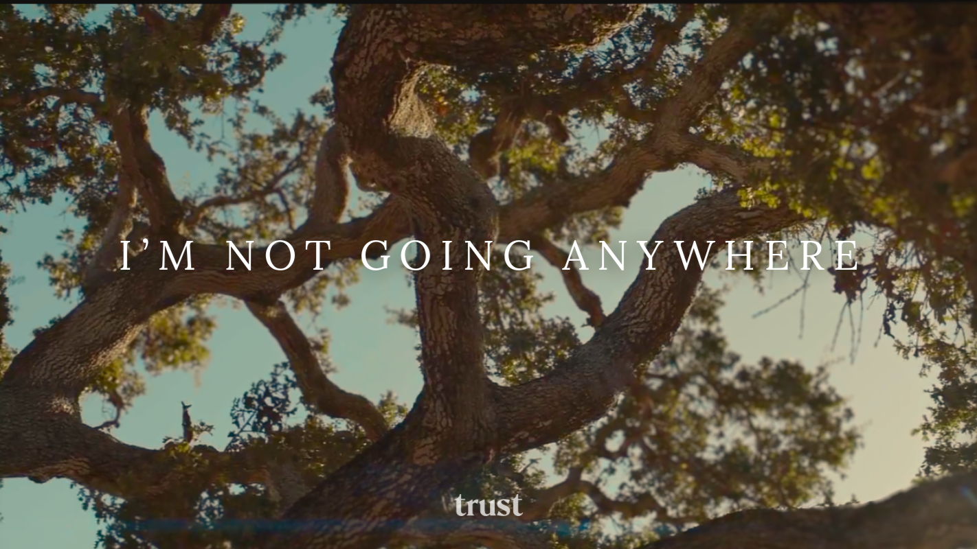 I'm Not Going Anywhere by Matthew Palmer