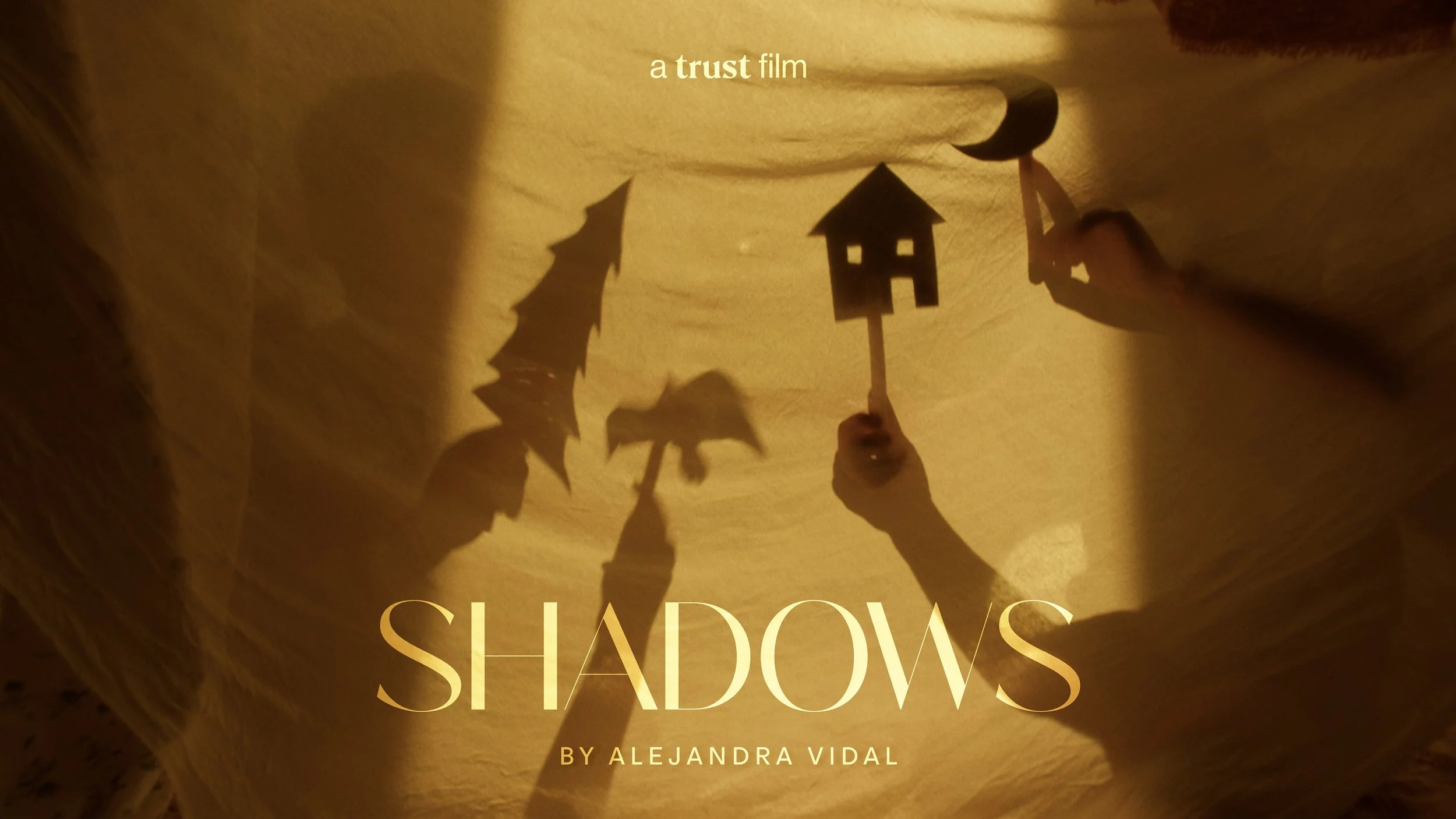 Shadows by Alejandra Vidal