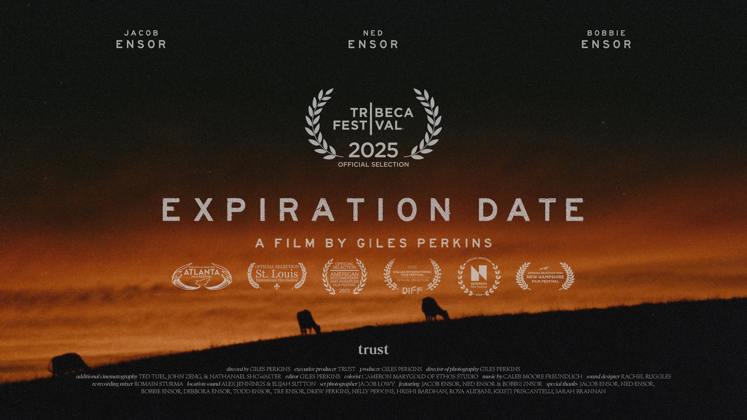 Expiration Date by Giles Perkins