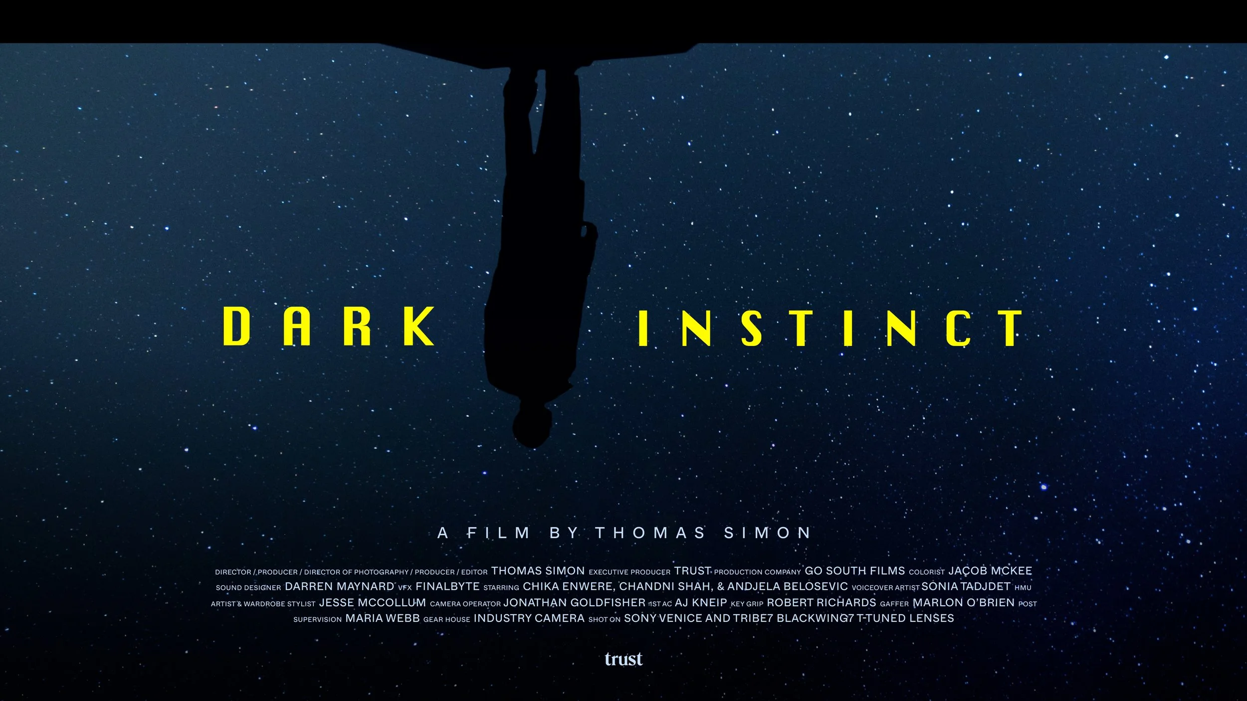 Dark Instinct by Thomas Simon