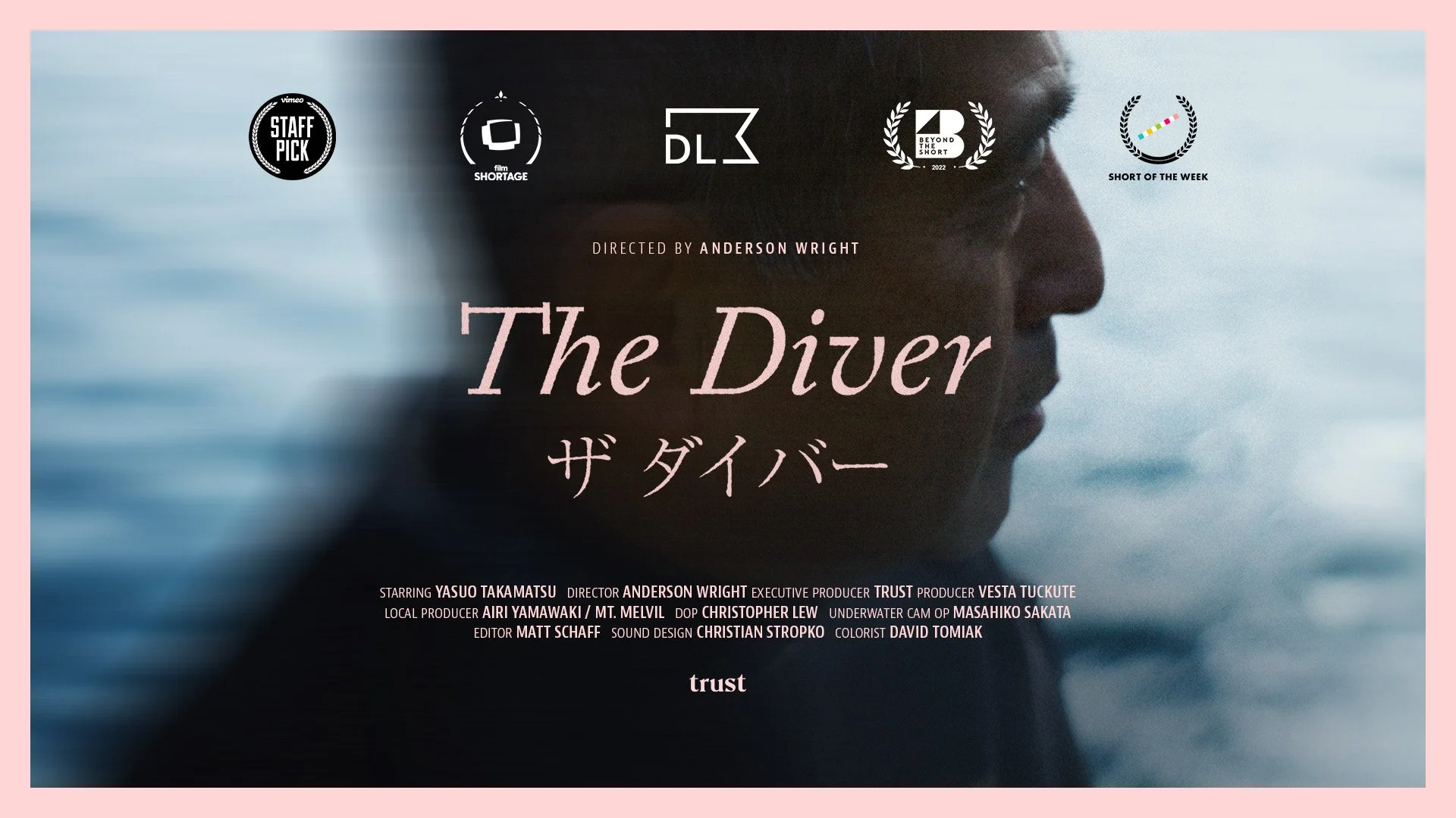 The Diver by Anderson Wright