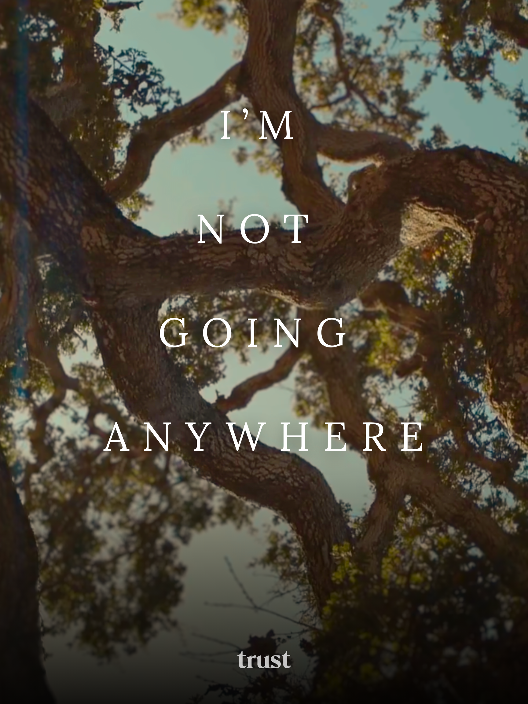 I'm Not Going Anywhere Poster Vertical V1.png