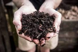 Composting in Marin and Beyond