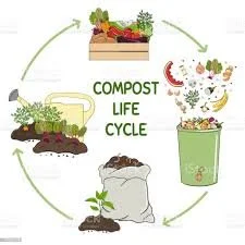 My Food Waste Journey