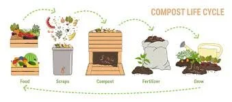 Let’s Learn About Food Waste and Composting