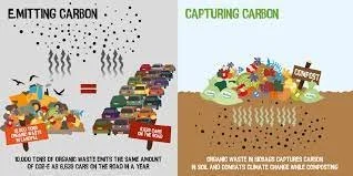 Food Waste Impacts Climate Change