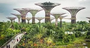 How Plants (growing, consuming, and composting) are the future